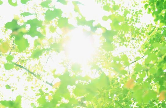 お宅の蛇口で次亜塩素酸水を使えるようにしませんか？坂戸市の水道工事